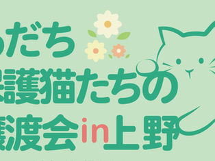「あだち保護猫たちの譲渡会 in 上野」開催のお知らせ