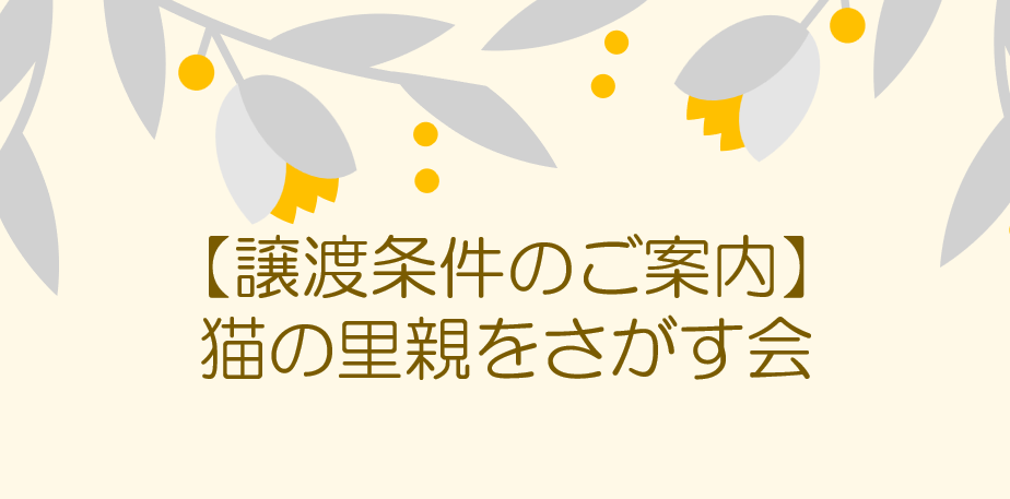 譲渡条件のご案内【猫の里親をさがす会】
