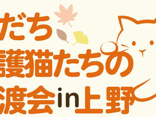 「あだち保護猫たちの譲渡会 in 上野」開催のお知らせ