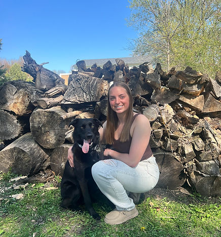 Training at Carver Canines