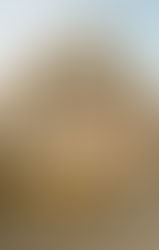 Tracing the Roots: The Origins of The Bulgarian Language and Its Modern-Day Reach