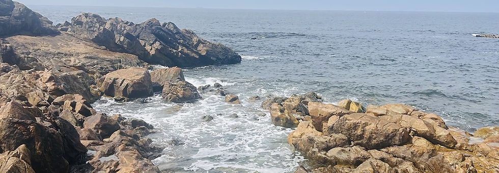 INYALA-coast-banner-a.jpg