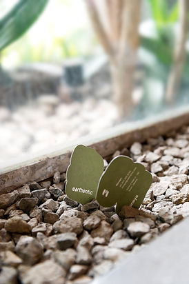 Earthentic Noote and Netoo