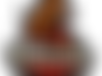 L'histoire de la Reignac Bull