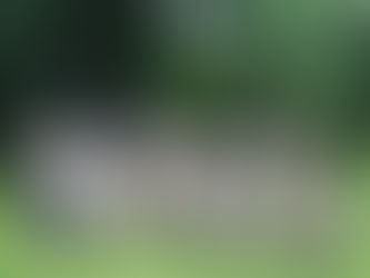 岐阜ローバース10周年行事 - ローバー隊 - 2023/9/16-17