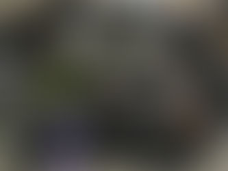 Exploring the 7 Areas of Learning in the EYFS Through the Curiosity Approach