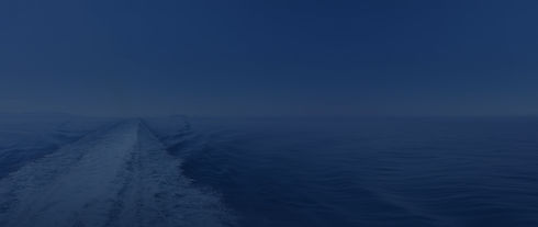 WS_web background.jpg