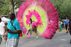 Nadeem Shad Photography