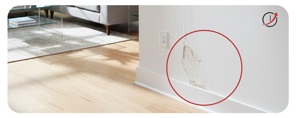 Peeling, Bubbling, or Warped Wall Surfaces