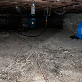 AFTER: Crawl Space Black Water Crisis -3