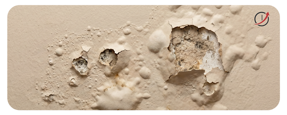 Bubbling paint and soft drywall are definitive signs of advanced, trapped water damage.