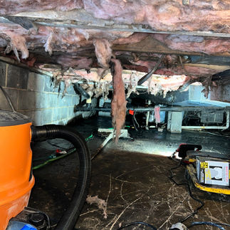 BEFORE: Crawl Space Black Water Crisis -4