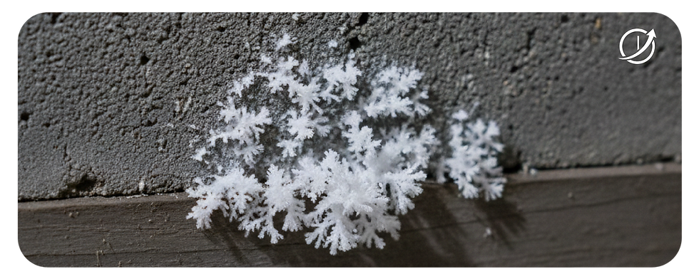 Efflorescence "Salt Blooms"