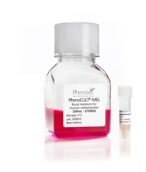 Culture medium for melanocytes