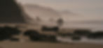 morning-mist-1250544_edited.jpg