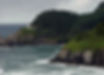 oregon-coast-1364265_edited.jpg
