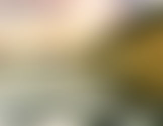 La Alegría Nunca Se Fue