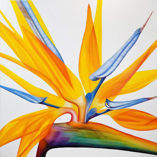 Deborah Bigeleisen Paradise