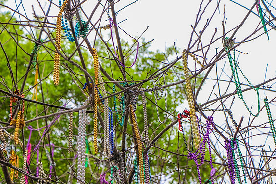 mardi-gras-2606491_1920.jpg