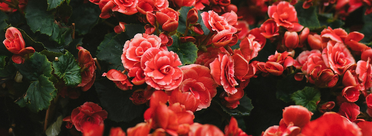 tuan-nguy-n-minh-pGr7g4l8EOI-unsplash.jpg