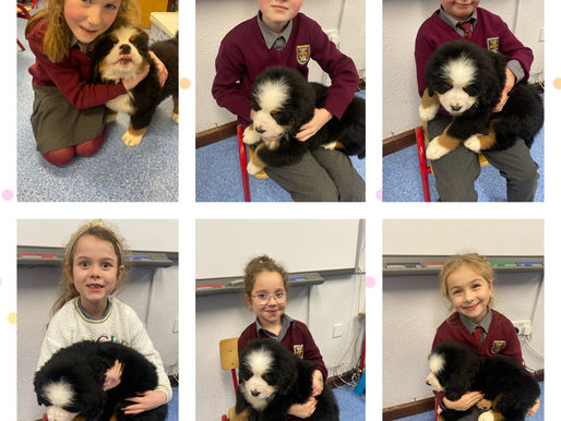 New Students 🐶
