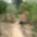 Nature Hike & Exploration- Silverwood Wildlife Sanctuary (Wednesday)