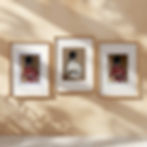 Nara Blossom handprinted set of 3 cards framed artwork