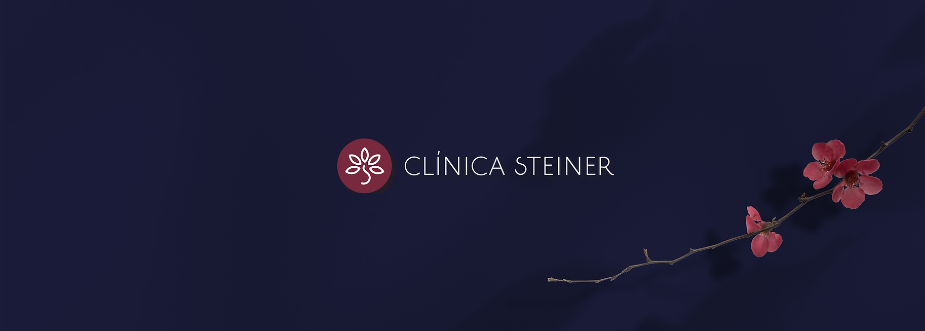 identidade visual da Clinica Steiner por Teresa Maita