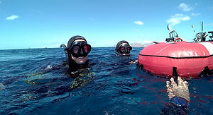 Try Dive | Freediving Lanzarote