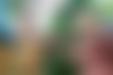 Engaging Employees in Your Company's Sustainability Strategy