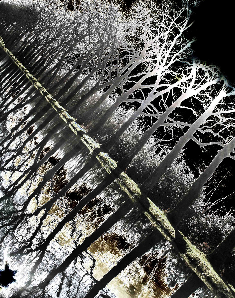 Décollage pour l'imaginaire