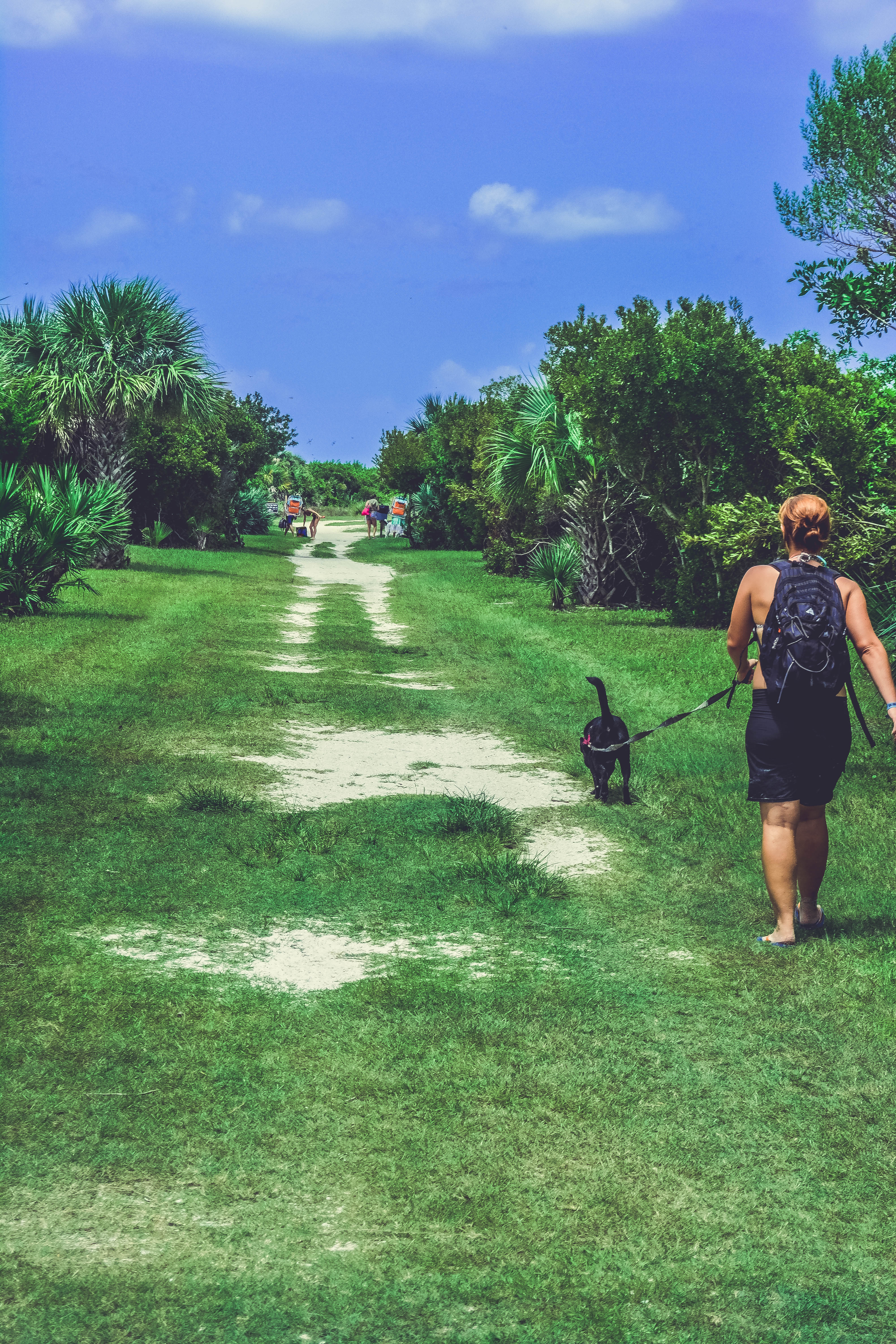 Florida, Jul 2015