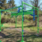 backyard1