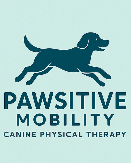 pawsitive mobility logo