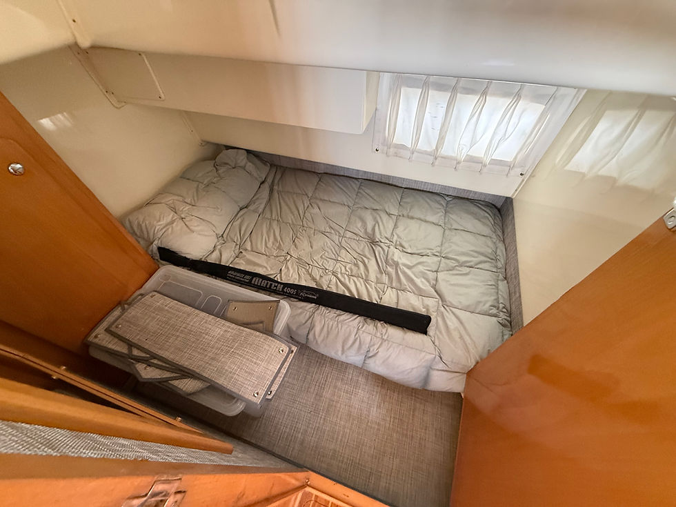 Miniatura: CUSTON 35 - 2016