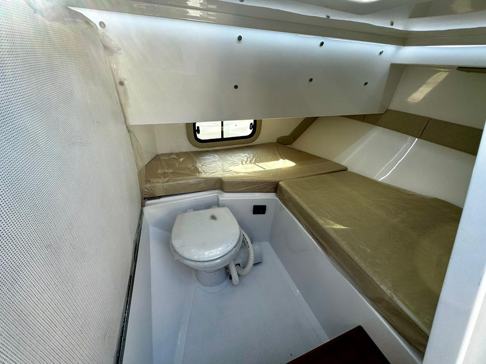 Miniatura: AVALON 240 OPEN - 2025