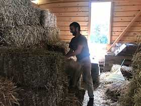 meet the volunteers of vrouva farm