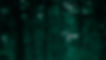 Blurry Forest_edited.jpg