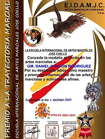 Medalla al Mérito en las Artes Maciales, España