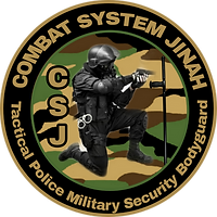 Combat System Jinah, Italia