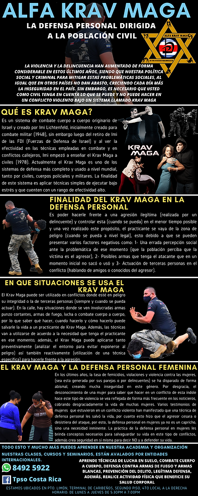 ALFA KRAV MAGA.png