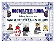 Doctorado en Filosofía de la Ciencia de las Artes Marciales, Alemania