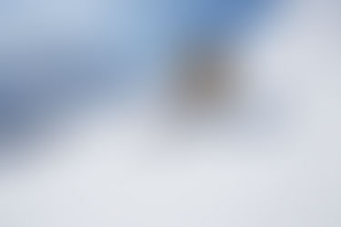 Avoiding the Big Retirement Risks