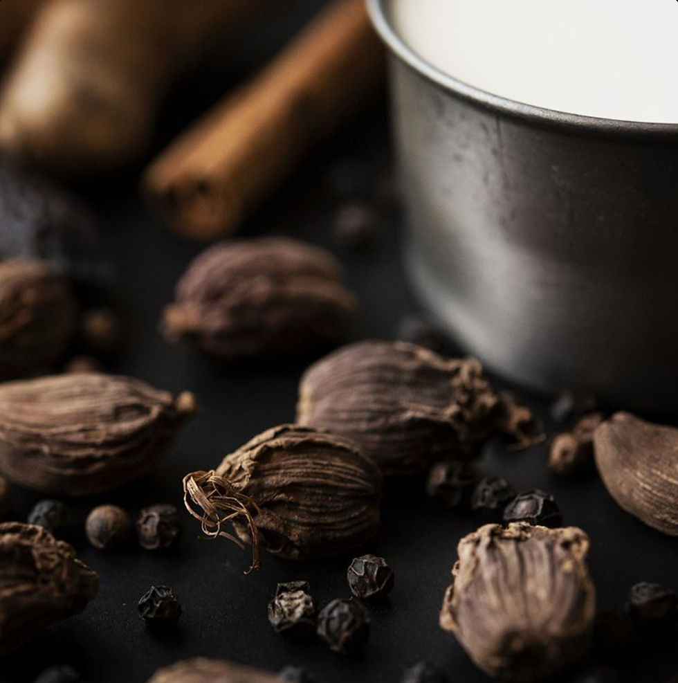 Cardamom + Cream Candle, luxury gourmand candle