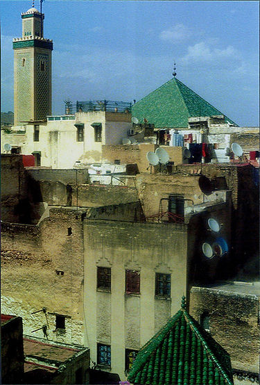Scan (36).jpg