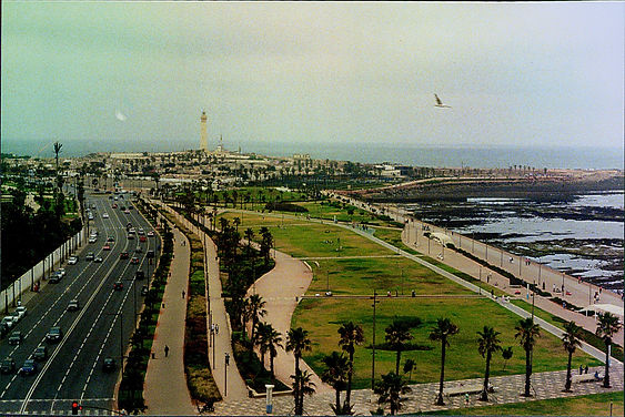 Scan (80).jpg
