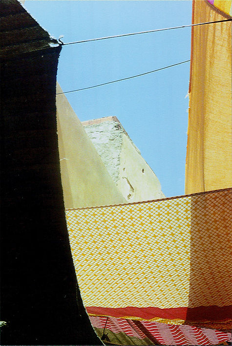 Scan (30).jpg
