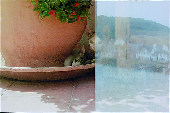 Scan (72).jpg