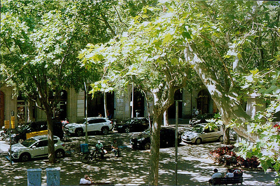 Scan (63).jpg