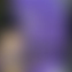 技能グランプリ2026